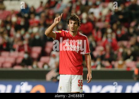 Lissabon, Portugal. 09th Januar 2022. Paulo Bernardo Mittelfeldspieler von SL Benfica reagiert während des Liga Portugal Bwin-Spiels zwischen SL Benfica und FC Paços de Ferreira am 09. Januar 2022 in Estádio da Luz in Lissabon, Portugal. Valter Gouveia/SPP Credit: SPP Sport Press Photo. /Alamy Live News Stockfoto