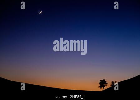 Ein Halbmond am Abendhimmel über einem silhouettierten Baum auf einem Hügel Stockfoto