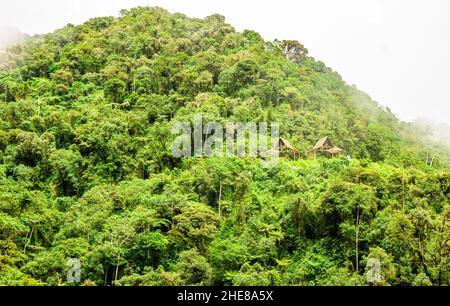 Ferienhaus in der Yungas-Landschaft neben der Todesstraße, Bolivien Stockfoto