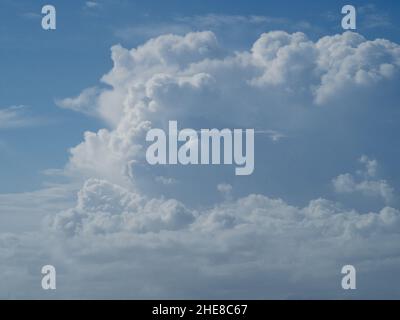 Himmlisch geschwollene weiße Cumulus-Wolken schweben an einem blauen Himmel, Australien Stockfoto