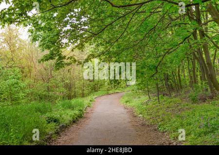 Schöne Frühlingslandschaft, Spazierweg in einem Park mit Bäumen an einem warmen Frühlingstag Stockfoto