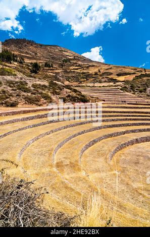 Landwirtschaftliche Terrassen in Moray in Peru Stockfoto