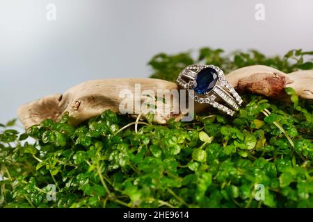 Damen-Platinring mit Diamanten und blauem Edelsapphire-Jemstone auf mikrogrünem Laub-Hintergrund und poliertem Holz, Nahaufnahme. Luxus-Hündin Stockfoto