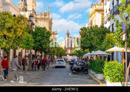 Eine belebte Straße mit Cafés und Orangenbäumen neben der Großen Kathedrale von Sevilla an einem sonnigen Herbsttag, an dem Touristen und Spanier auf dem Bürgersteig spazieren gehen. Stockfoto