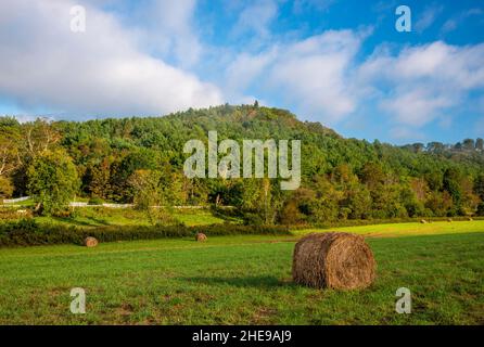 Morgenszene mit Heuballen im Süden von Vermont mit takonischer Bergkulisse. Stockfoto