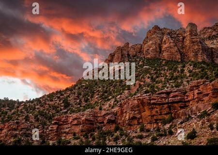 USA, Utah, Zion National Park, feuriger Sonnenuntergang über den roten Felsen von Zion Stockfoto