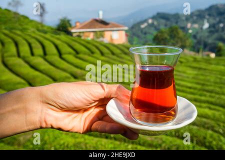 Ein Glas traditionellen türkischen Tees mit wunderschönen Teeplantagen im Hintergrund in der Türkei. Stockfoto