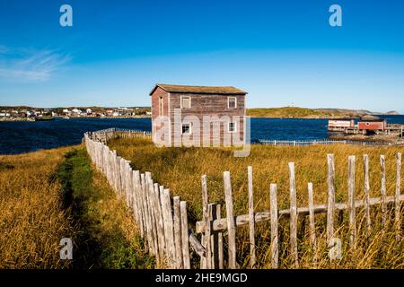 Bootshaus in Joe Batts Arm, Fogo Island, Neufundland, Kanada. Stockfoto