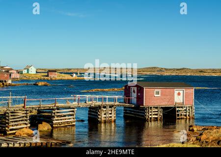 Bootshaus in Joe Batts Arm, Fogo Island, Neufundland, Kanada. Stockfoto