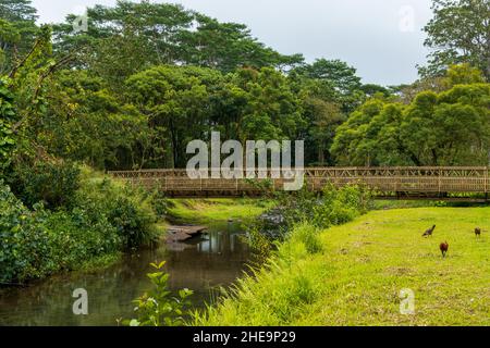 Keahua Stream Bridge in der Nähe von Keahua Arboretum auf Kauai Island, Hawaii Stockfoto