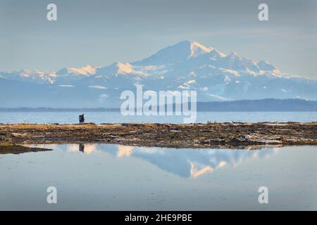 Mt Baker Hinter Boundary Bay. Der Blick auf Mt Baker vom Centennial Beach in Delta, British Columbia, Kanada. Stockfoto