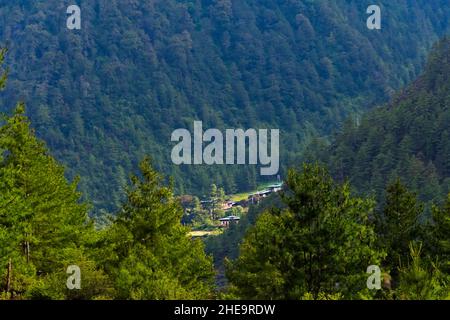 Dorf im Wald im Himalaya, Haa, Bhutan Stockfoto