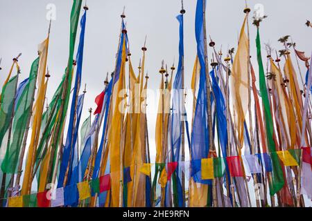 Gebetsfahnen im Chelela Pass im Himalaya, der höchste befahrbare Punkt in Bhutan mit 3988m, zwischen den Haa und Paro Tälern, Bhutan Stockfoto