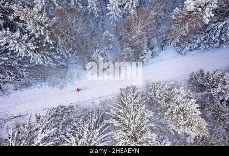 Luftaufnahme des schneebedeckten Waldes mit Winterstraße und Mann in roter Jacke. Drohnenfotografie Landschaft. Blick von oben. Stockfoto