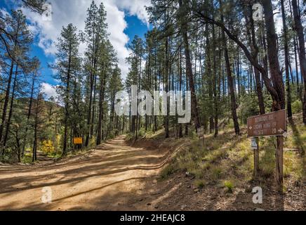 Senator Road 52 an der Kreuzung Pine Flat Road 177, Goodwin-Standort, Nebenstraßen in Bradshaw Mountains, Prescott National Forest, Arizona, USA Stockfoto