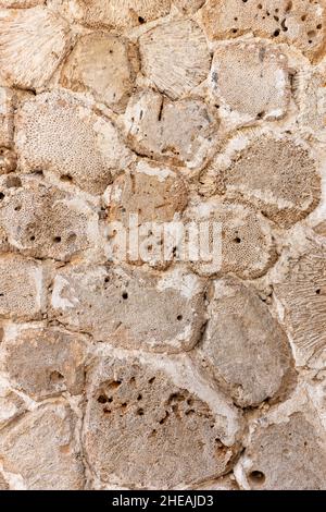 Sonnengebackene Korallensteinwand, Fassade eines alten Gebäudes in Dubai, Vereinigte Arabische Emirate. Stockfoto