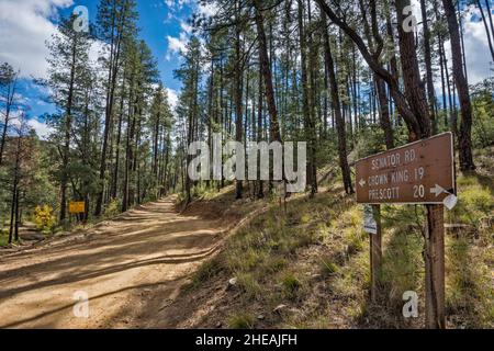 Senator Road 52 an der Kreuzung Pine Flat Road 177, Goodwin-Standort, Nebenstraßen in Bradshaw Mountains, Prescott National Forest, Arizona, USA Stockfoto