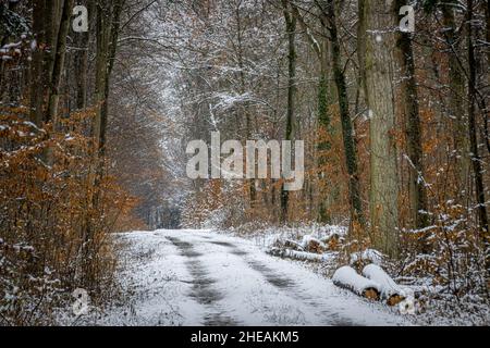 Eine schlammige forst-Straße, die im Winter mit Schnee bedeckt ist Stockfoto