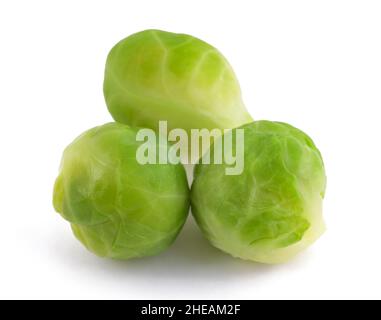 Brüsseler Sprossen-Gruppe isoliert auf Weiß Stockfoto