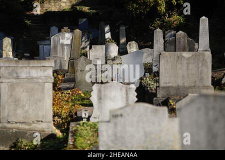 Sighisoara, Rumänien - 30. Oktober 2021: Details mit Gräbern, Grabsteinen und Vegetation vom alten sächsischen Friedhof in der mittelalterlichen Zitadelle und voll von w Stockfoto