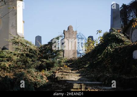 Sighisoara, Rumänien - 30. Oktober 2021: Details mit Gräbern, Grabsteinen und Vegetation vom alten sächsischen Friedhof in der mittelalterlichen Zitadelle und voll von w Stockfoto