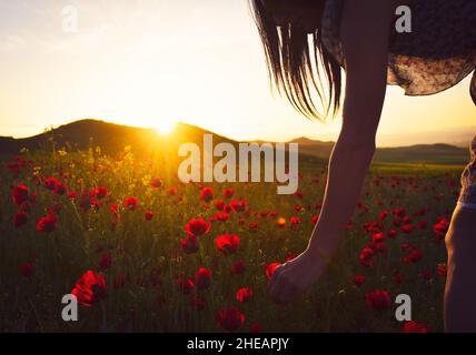Junge kaukasische Frau pflücken Blumen an einem Sommerabend.Cinematic Sommer glühen Filter Hintergrund Stockfoto