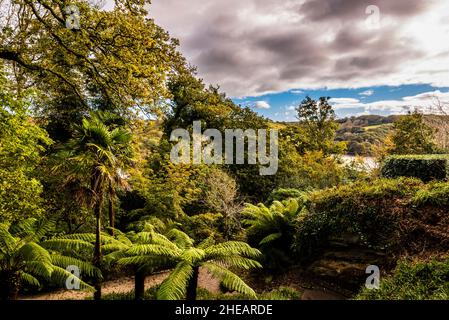 Blick über den Fluss Fal von den Trelissick Gardens, in der Nähe von Truro, Cornwall, Großbritannien Stockfoto