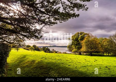 Blick über den Fluss Fal und Channals Creek mit Blick auf Falmouth und Mylor Churchmen, von Trelissick Gardens, in der Nähe von Truro, Cornwall, Großbritannien Stockfoto