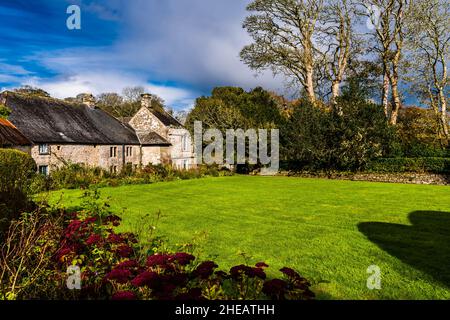 Der Seitengarten in Godolphin Gardens, in der Nähe von Penzance, Cornwall, Großbritannien Stockfoto