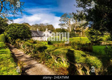 Gehweg im Seitengarten von Godolphin Gardens, in der Nähe von Penzance, Cornwall, Großbritannien Stockfoto