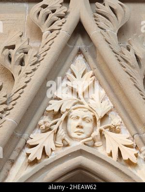 Mittelalterliches (dreizehntes Jahrhundert) naturalistisches Schnitzwerk eines grünen Mannes auf der Kapitelhausmauer am Münster in Southwell, England. Stockfoto