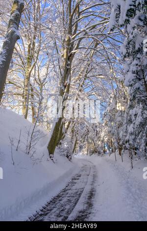Idyllische Winterlandschaft, schneebedeckter Weg geht bergauf. Bergdietikon, Aargau, Schweiz Stockfoto