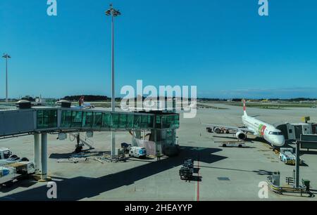 Porto Portugal 09 19 2021: Außenansicht der Start- und Landebahn sowie Aufzug und Wartung von Flugzeugen und Fracht am Flughafen Porto Stockfoto