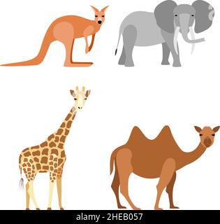 Set von Tieren: Elefant, Kamel, Giraffe, Känguru, Vektor-Illustration Stock Vektor