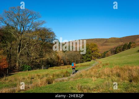 Reifer männlicher Wanderer auf dem Weg von Edale nach Grindsbrook Clough in den Hügeln des Peak District, Derbyshire, England. Stockfoto