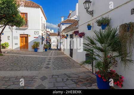 ESTEPONA COSTA DEL SOL ANDALUSIEN SPANIEN ESCALINATA SIRENA WEISS HÄUSER BUNTE BLUMEN IN TÖPFEN UND ORANGENBAUM Stockfoto