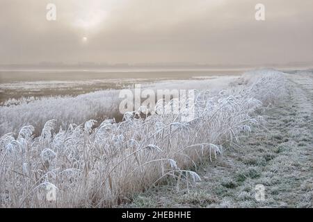 Frostiger Morgen bei Burrows Marsh am River Wyre in Lancashire Stockfoto