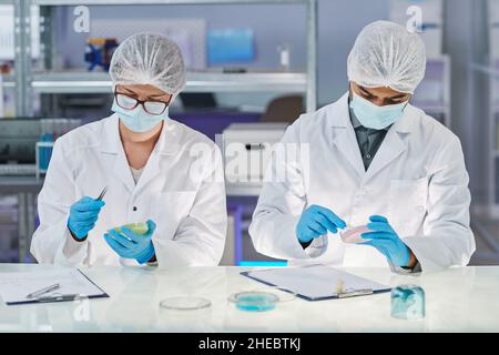 Zwei Chemiker in Schutzkleidung sitzen am Tisch und mischen Chemikalien in Reagenzgläsern, um im Labor neue Medikamente gegen Viren zu entwickeln Stockfoto