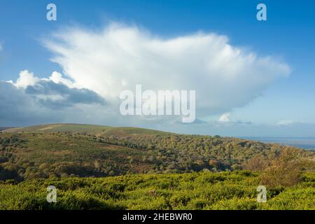 Cumulonimbus-Wolke mit einem Amboss über Higher Hare Knap in der Quantock Hills National Landscape, Somerset, England. Stockfoto