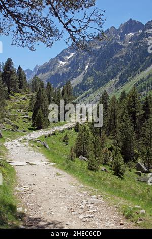 Die Französischen Pyrenäen: Wandern auf dem GR10 im Vallee de Gaube Stockfoto