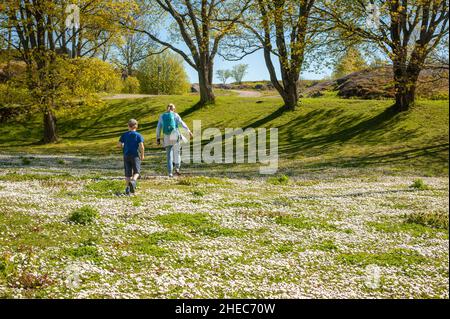 Frühling in der Seefestung Suomenlinna, Helsinki, Finnland Stockfoto