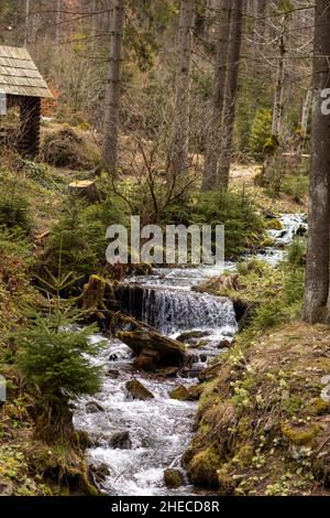 Das Wasser fließt durch einen kleinen Gebirgsbach und fließt über Basaltsteinfelsen. Ein kleiner Wasserfall fließt durch das Moos Stockfoto