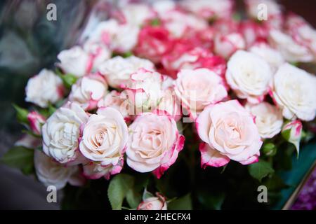 Großer Strauß rosa Rosen aus nächster Nähe Stockfoto