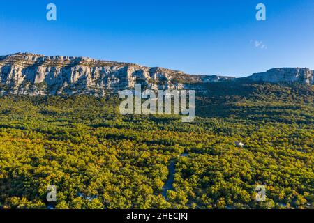 Frankreich, Var, regionaler Naturpark Sainte Baume, Massif de la Sainte Baume, Sainte Baume State Forest, Reliquie Wald von Buchen und Eichen, Nordrutsche o Stockfoto