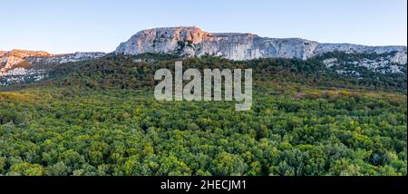 Frankreich, Var, regionaler Naturpark Sainte Baume, Massif de la Sainte Baume, Sainte Baume State Forest, Reliquie Wald von Buchen und Eichen, Nordrutsche Stockfoto