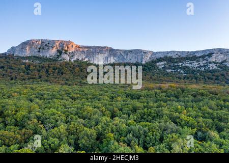 Frankreich, Var, regionaler Naturpark Sainte Baume, Massif de la Sainte Baume, Sainte Baume State Forest, Reliquie Wald von Buchen und Eichen, Nordrutsche Stockfoto