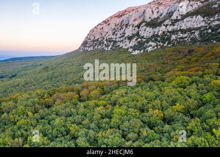 Frankreich, Var, regionaler Naturpark Sainte Baume, Massif de la Sainte Baume, Sainte Baume State Forest, Reliquie Wald von Buchen und Eichen, Nordrutsche o Stockfoto