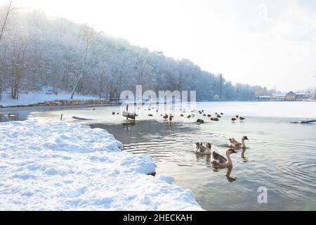 Frankreich, Isere, Bourgoin-Jallieu, Teich von Rosiere unter dem Schnee Stockfoto