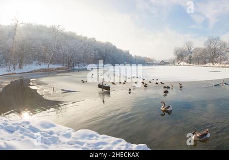 Frankreich, Isere, Bourgoin-Jallieu, Teich von Rosiere unter dem Schnee Stockfoto