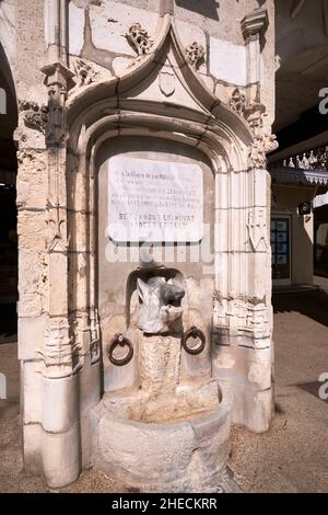 Frankreich, Pyrenäen Atlantiques, Bearn, Salies de Bearn, der Brunnen des Wildschweins, Wahrzeichen der Stadt, Monument errichtet 1927 auf dem Platz Bayaa Stockfoto